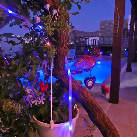 Priene - Private Pool فيلة *