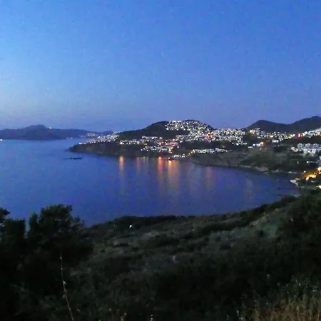 Priene - Private Pool Gumusluk